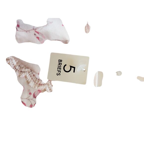 Laura Ashley NWT‎ Briefs super soft set of 5 2X - Picture 6 of 12